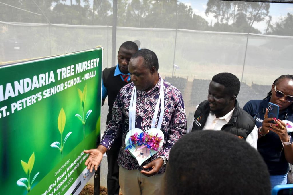 Global Peace Foundation Kenya and Chandaria Foundation Launch Chandaria Tree Nursery at St. Peter\'s Senior School, Ndalu global peace foundation kenya and chandaria foundation launch chandaria tree nursery at st. peter's senior school, ndalu